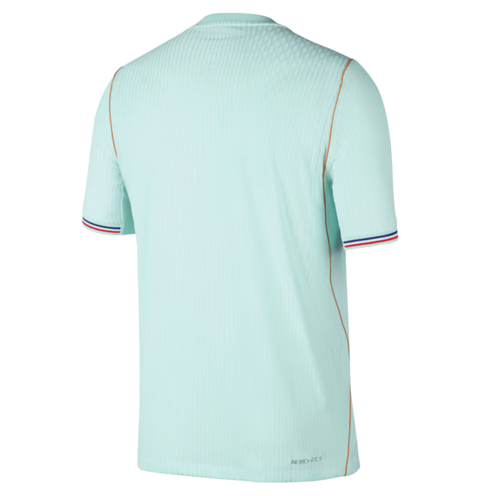 france-national-team-nike-away-aero-fit-match-shirt-2026_ss5_p-203721241_pv-6_u-gdfstbllhkxinbu9e2bu_v-vw876tpoeshbtngtnvln.png